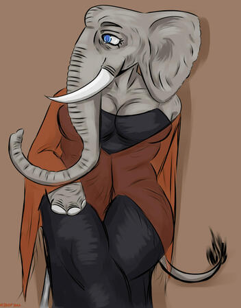 Elephant