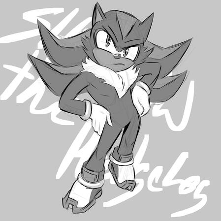 Shadow The Hedgehog